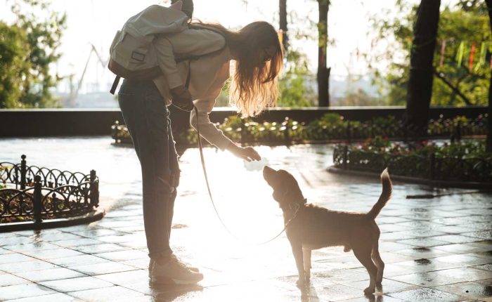 Girl giving her dog a treat